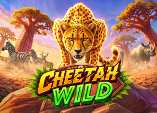 Cheetah Wild